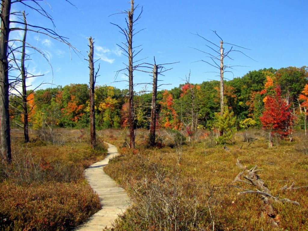 The Wetland Trail Camp Newaygo